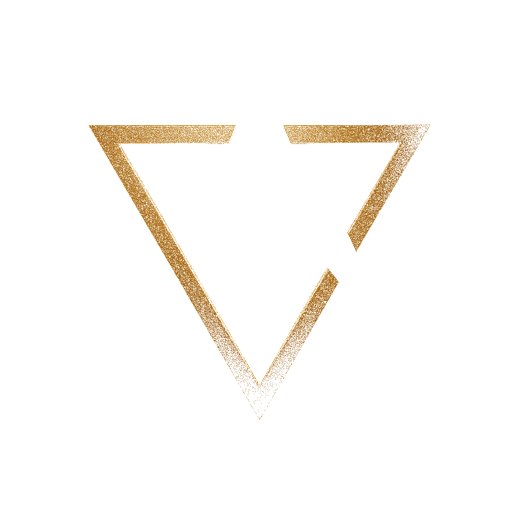 Vector Asylum Logo